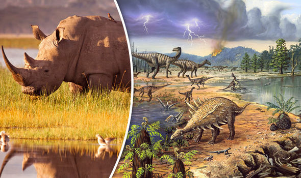 Mass Extinction Mass Extinction Biodiversity Mass Extinction Dinosaurs Mass Extinction Animals Mass Extinction Earth 864853